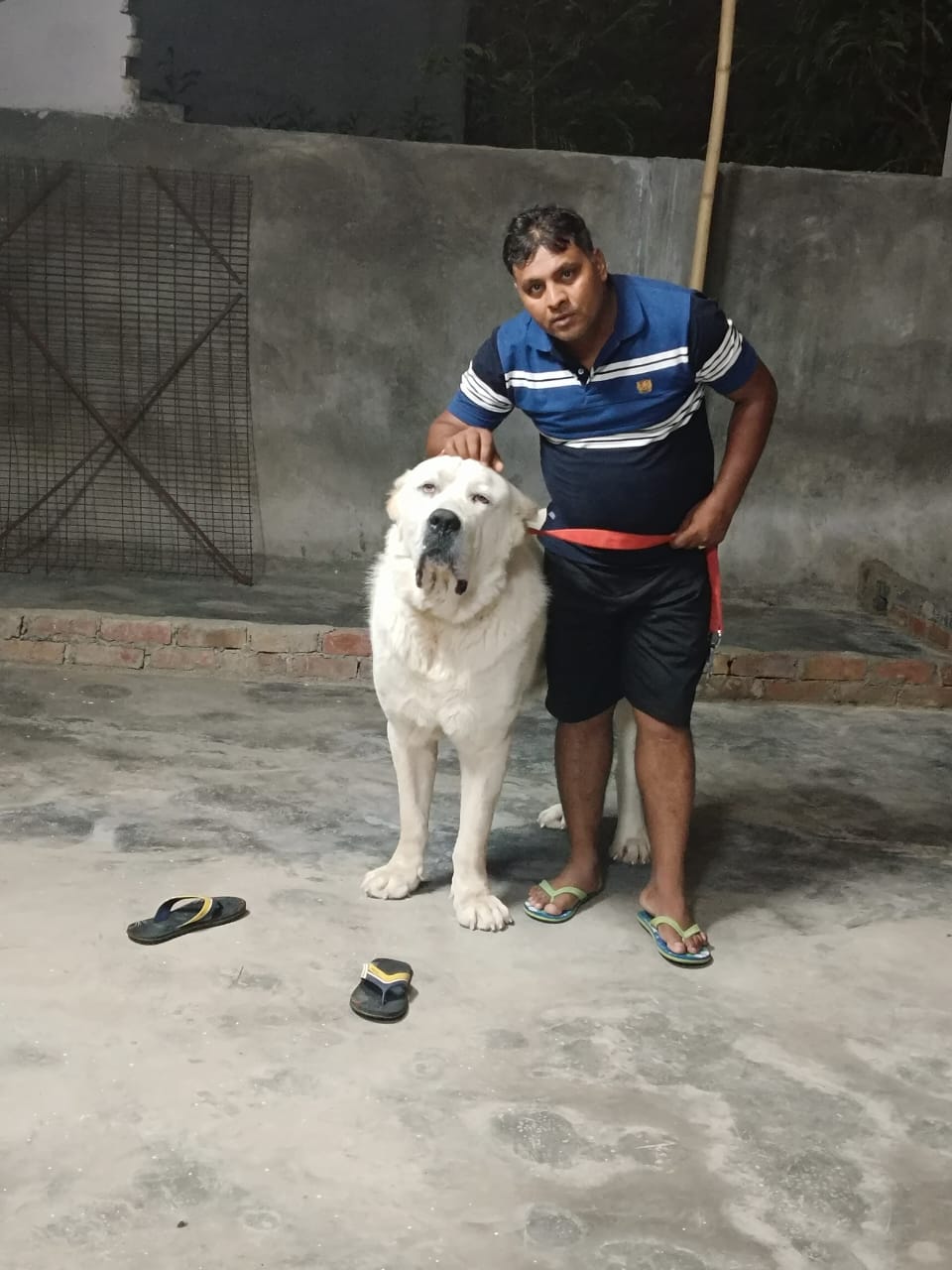 contact us for pet boarding