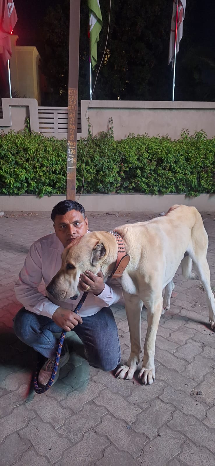 pet boarding in dwarka